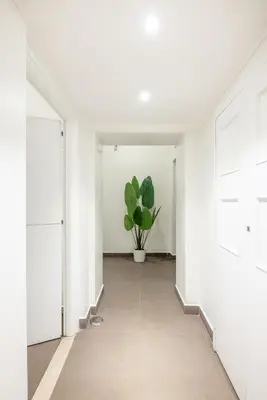 a hallway with white walls and a potted plant at Maison Trevi in Rome