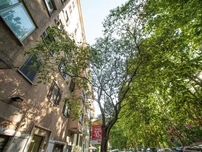 a tree in front of a building on a street at Roman Home Base in the Appio Latino in Rome