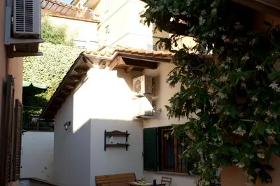 a white building with a window and a tree at Le Scalette in Rome