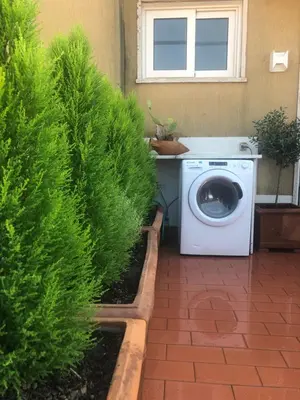 a washing machine in a garden with two bushes at Appartamento con Terrazza vicino Gemelli e Vaticano in Rome