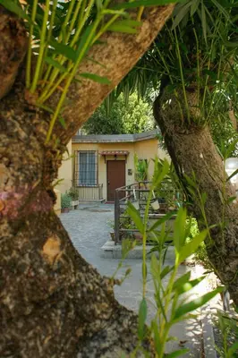 a view of a house through a tree at Alfieri home holiday in Rome