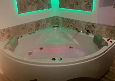 a large bath tub with a pink fish in it at Vatican Relais Rome in Rome