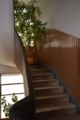 a spiral staircase with a plant on the side at The Voice of the Pope in Rome