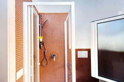 a bathroom with a shower and a television at Pantheon - Argentina Luxury in Rome