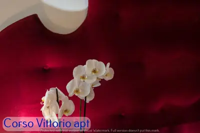 a vase with white flowers on a red background at Corso Vittorio Apartments in Rome