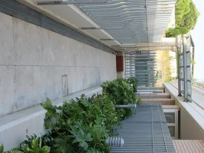 an indoor garden with plants on a building at Pianeta Roma 45 in Rome