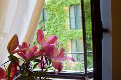 a vase of pink flowers sitting on a window sill at Hotel Antica Locanda in Rome