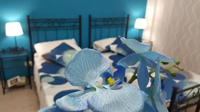 a blue flower in front of a bed at Casa di Angela in Rome