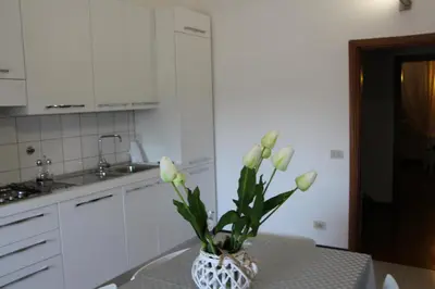 a vase with white flowers on a table in a kitchen at Le Bellezze Vaticane in Rome