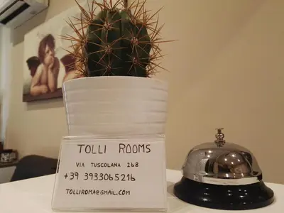 a cactus in a pot on a table with a sign at Tollì rooms in Rome
