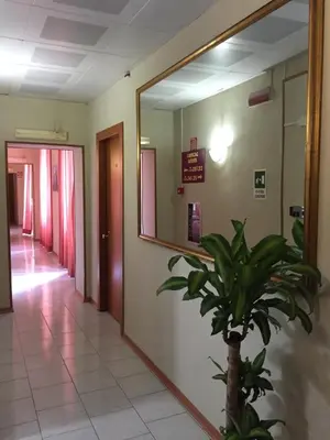 a hallway of a hospital with a mirror and a plant at Hotel Altavilla Dieci in Rome