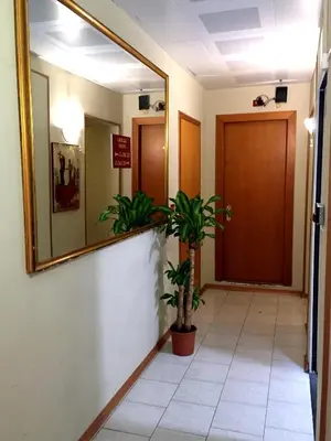 a hallway with a mirror and a potted plant at Hotel Altavilla Dieci in Rome