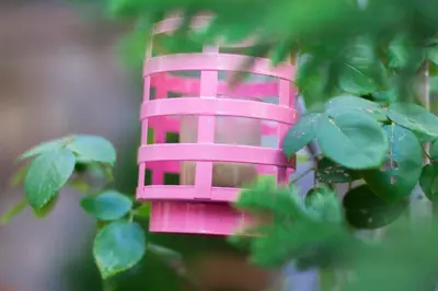 a pink bird house hanging from a tree at Bausan 12 in Rome