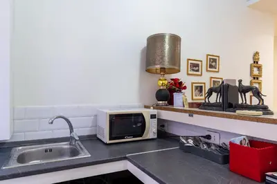 a kitchen counter with a sink and a microwave at Camere del Camerlengo in Rome