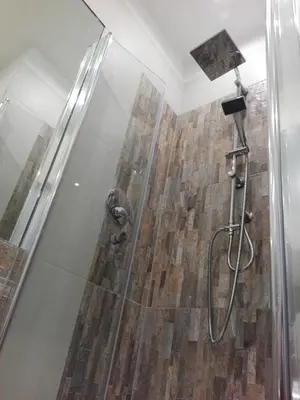 a shower with a glass door and a wooden wall at Aleardo Aleardi in Rome