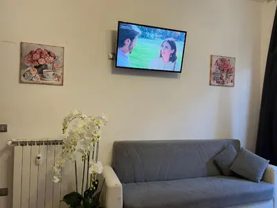 a living room with a couch and a tv on a wall at Residenza Monteverde in Rome