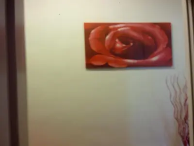 a painting of a red rose on a wall at Magic Stefy's Rooms in Rome