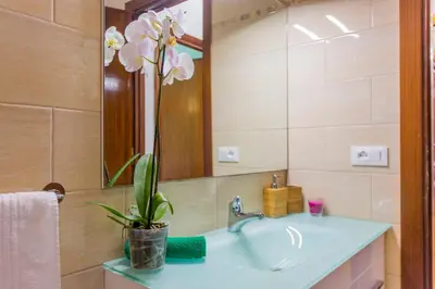 a bathroom with a sink and a mirror and a plant at Amedeo Apartment in Rome