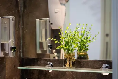 a bathroom sink with two vases with plants in it at Termini Central Inn in Rome