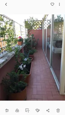 a patio with potted plants on a balcony at Attico Pavia vicino Policlinico in Rome