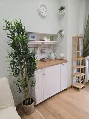 a kitchen with a plant and a clock on the wall at Rome Candia Holiday House in Rome