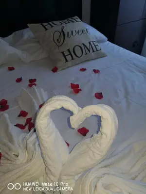 two swans making a heart on a bed with roses at Trastevere four seasons Valadier in Rome