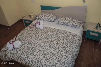 a bedroom with a large bed with two pillows and a leopard print at Homesuitehome in Rome