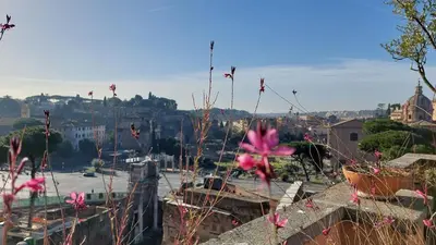 a bunch of kites flying in the sky over a city at Residenza Maritti Classic Rooms - Guesthouse in Rome