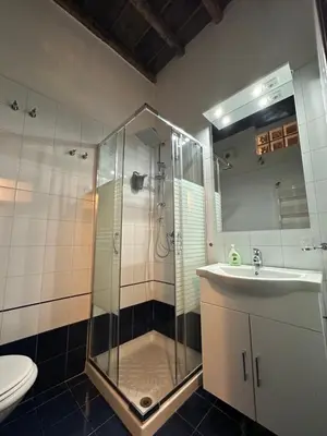 a bathroom with a shower and a sink at Navona Apartment Livia in Rome