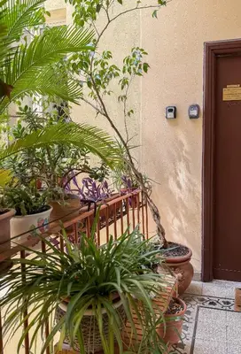 a bunch of plants sitting next to a wooden bench at Federici Guest House in Rome