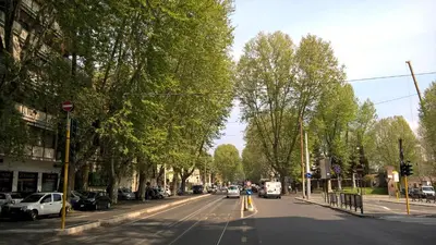 a street with trees and cars on the road at Capital flat 9-A in Rome