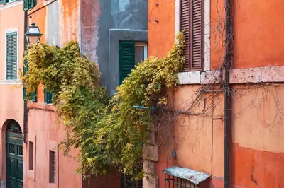 a building with ivy growing on the side of it at TrastevereHome - Paglia House of 17Century in Trastevere in Rome