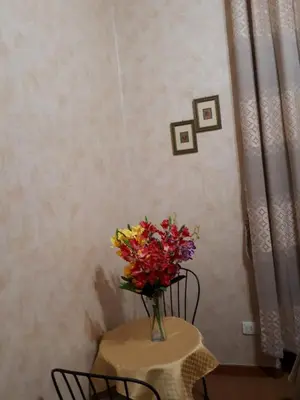 a table with a vase of flowers on it at Botel Inn in Rome