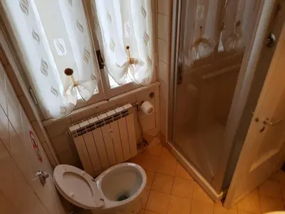 a small bathroom with a toilet and a shower at Domina Romae B&B in Rome
