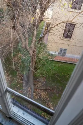 a view of a tree from a window at San Pietro Roma Suite in Rome