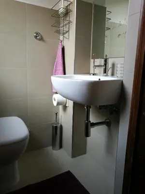 a bathroom with a white sink and a toilet at Lo Chalet di Trastevere in Rome