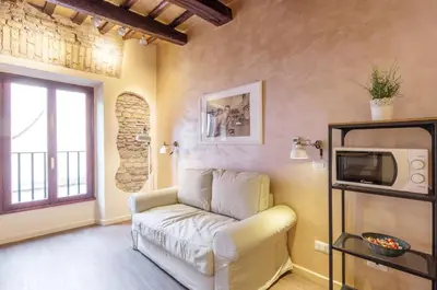 a living room with a couch and a tv at Trans Tiberim in Rome