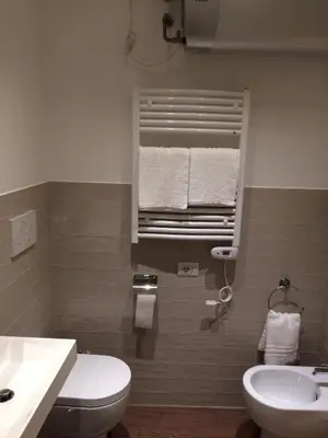 a bathroom with a toilet and a sink and a window at Trans Tiberim in Rome