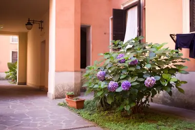 a plant with purple flowers on the side of a building at TrastevereHome - Vespucci Rome Testaccio Home in Rome