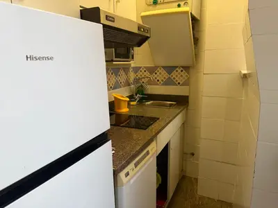 a small kitchen with a white refrigerator and a sink at Domi 56 Apartment in Rome