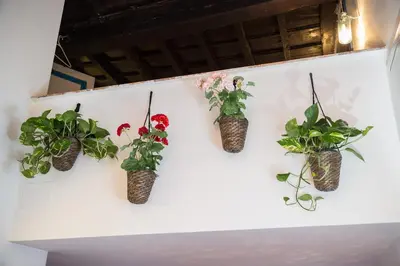 a group of potted plants hanging on a wall at Moroni Trastevere Cozy Apartment in Rome