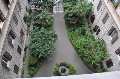 a staircase in a building with plants and trees at B&B Sergio House in Rome