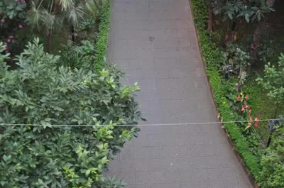 a walkway in a garden with plants at B&B Sergio House in Rome
