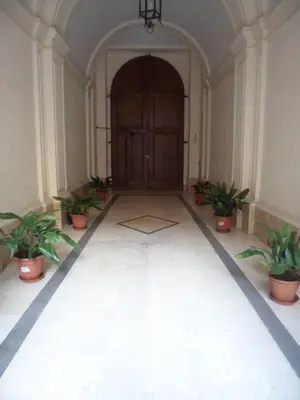 a hallway with potted plants and a wooden door at Giovy in Rome