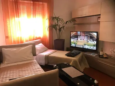 a living room with a bed and a flat screen tv at Appartamento S.Giovanni in Rome