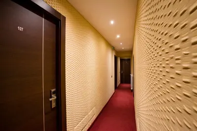 a corridor of a hotel hallway with a red carpet at Nice Rome Holiday in Rome
