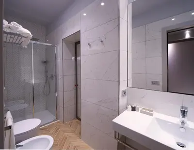 a bathroom with a shower and a sink and a toilet at Harry's Bar Trevi Luxury Apartments - Modelli in Rome