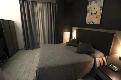 a bedroom with a large bed in a room at Hotel Charter in Rome