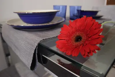 a red flower sitting on top of a table at rHome Sweet Home - Trastevere in Rome