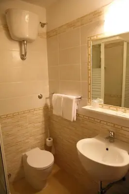 a bathroom with a toilet and a sink and a mirror at Hotel PRINCIPE AMEDEO in Rome